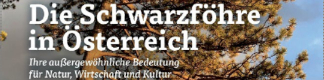 Buchpräsentation: Schwarzföhre in Österreich